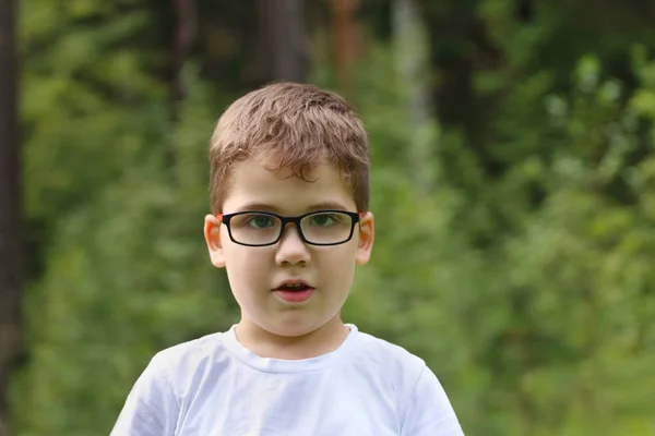 Handsome little boy in glasses looks at camera in summer green f — Stock Photo, Image