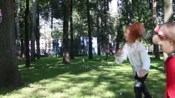 Twee gelukkige meisjes vangen zeepbellen in groene zomer park — Stockvideo