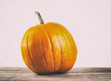 Beyaz arka planda Cadılar Bayramı kabağı