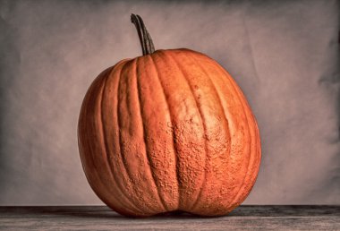 Cadılar Bayramı Balkabağı gri bir arka plan üzerinde