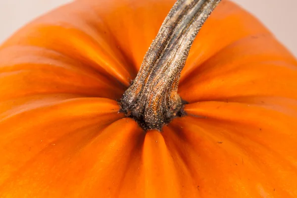 Grote detail Halloween pompoen op een witte achtergrond — Stockfoto