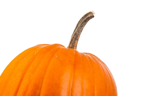 Calabaza de Halloween sobre un fondo blanco — Foto de Stock