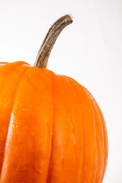 Halloween pompoen op een witte achtergrond — Stockfoto