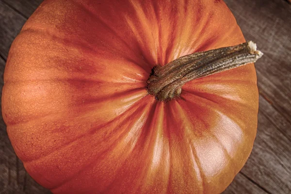 Abóbora de Halloween em um fundo branco — Fotografia de Stock