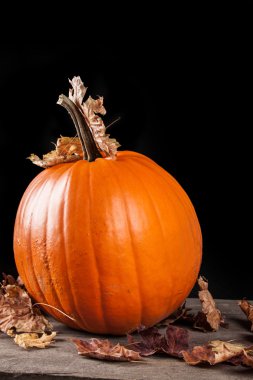 Cadılar Bayramı Balkabağı 