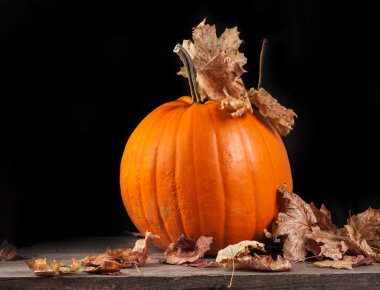 Cadılar Bayramı Balkabağı 