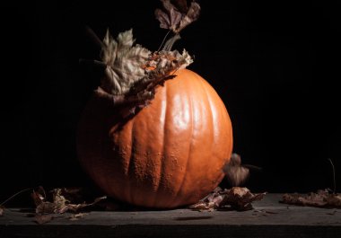 Cadılar Bayramı Balkabağı 