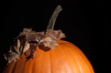 Cadılar Bayramı Balkabağı 