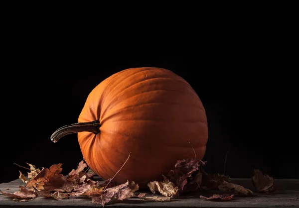 Halloweenliefje — Stockfoto