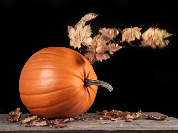 Halloweenliefje — Stockfoto