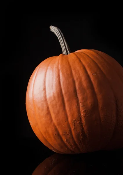 Halloweenliefje — Stockfoto