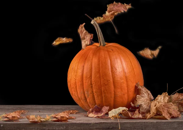 Halloween pumpkin Royalty Free Stock Images