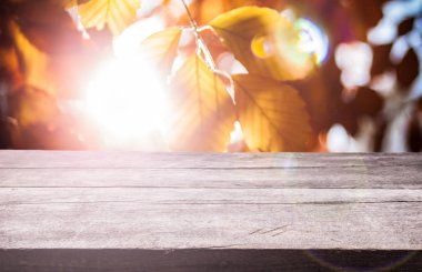 doğal görüntü arka plan üzerinde boş ahşap tahta ile güzel sonbahar yaprakları.