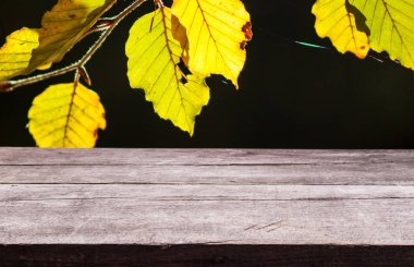 doğal görüntü arka plan üzerinde boş ahşap tahta ile güzel sonbahar yaprakları.