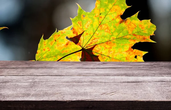 Порожня дерев'яна дошка з красивим осіннім листям на фоні природного розмивання . — стокове фото