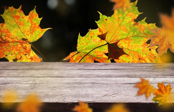 Leeres Holzbrett mit schönen Herbstblättern auf natürlichem, unscharfem Hintergrund. — Stockfoto