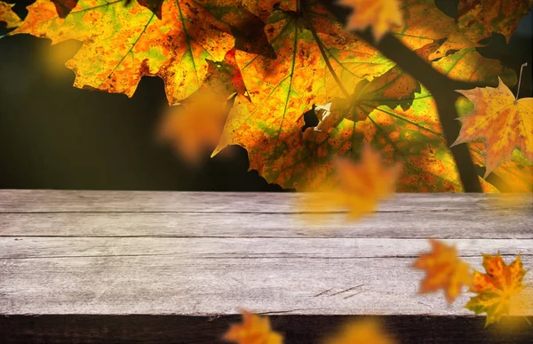 Leeres Holzbrett mit schönen Herbstblättern auf natürlichem, unscharfem Hintergrund. — Stockfoto