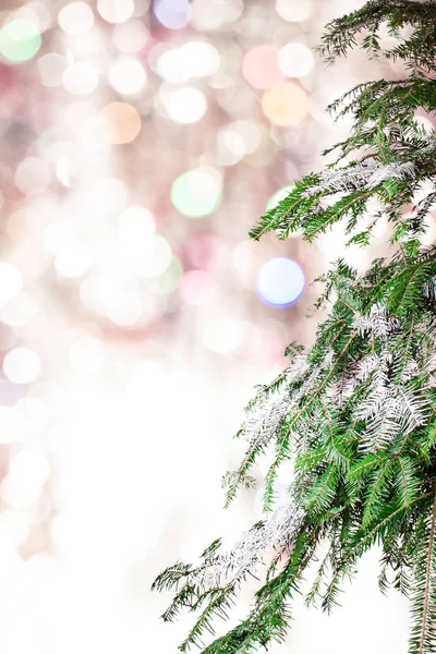 Rama de abeto y borrosa luces de Navidad —  Fotos de Stock
