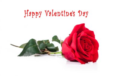 Kırmızı Güllü St.Valentines kartpostal