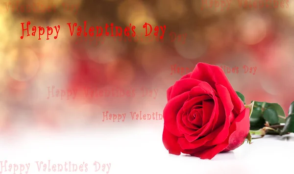 St.Valentines 明信片与红玫瑰 — 图库照片