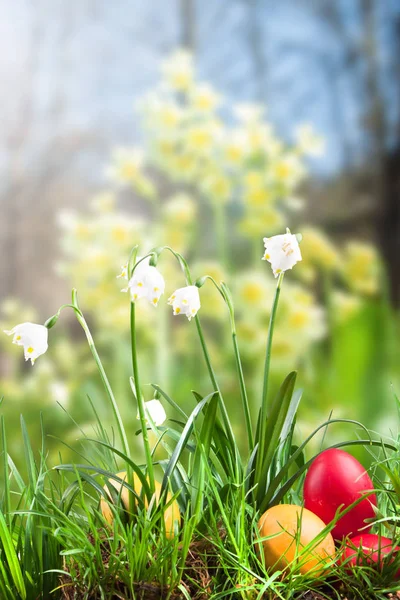 Fiocco di neve primaverile nell'erba e uova di Pasqua — Foto Stock