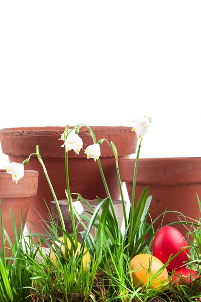 Spring snowflake in the grass and Easter eggs — Stock Photo, Image