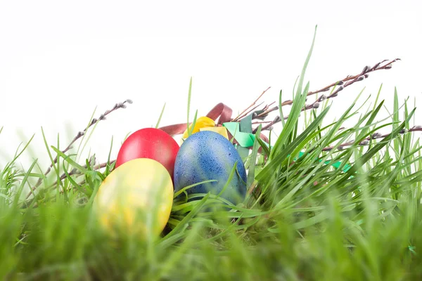 Easter colored eggs in the grass — Stock Photo, Image