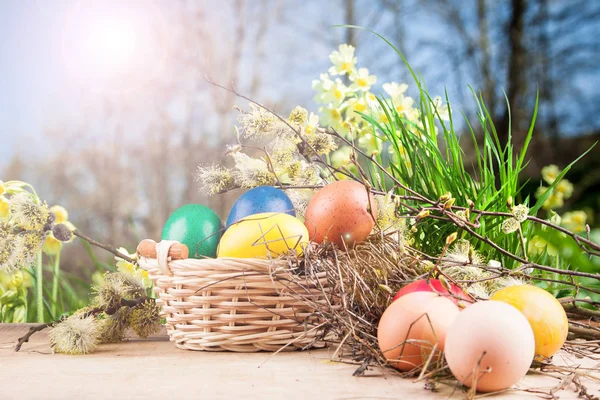 Colorful Easter eggs in a basket — Stock Photo, Image