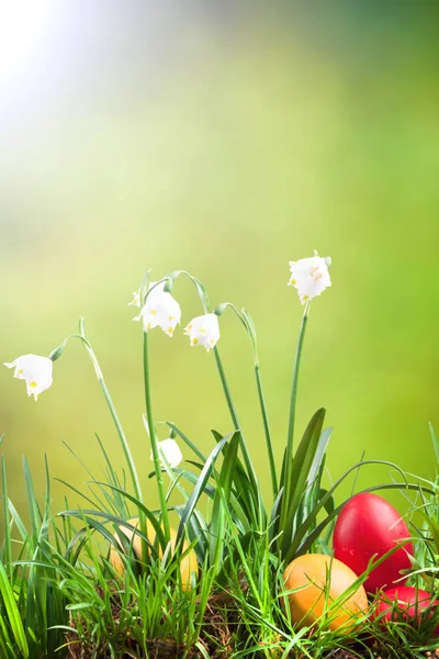 Kevät lumihiutale ruoho ja pääsiäismunat — kuvapankkivalokuva