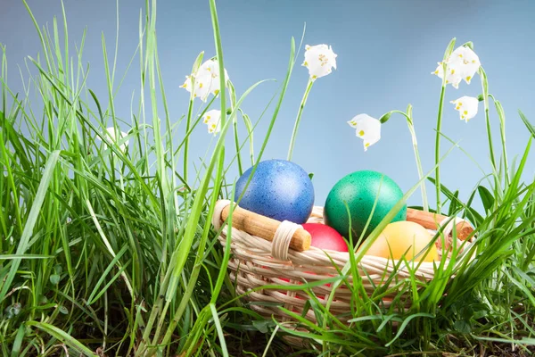 Spring snowflake in the grass and Easter eggs — Stock Photo, Image