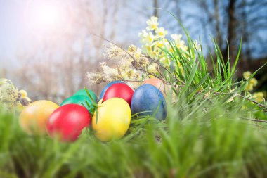 Paskalya yumurta çim renkli