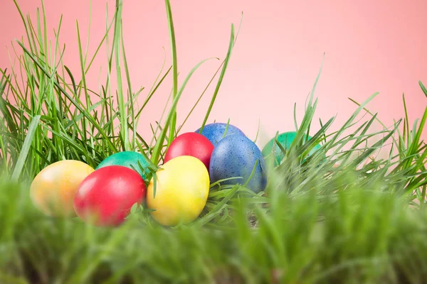 Easter colored eggs in the grass — Stock Photo, Image