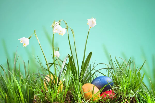 Spring snowflake in the grass and Easter eggs — Stock Photo, Image