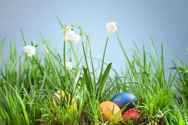 Spring snowflake in the grass and Easter eggs — Stock Photo, Image