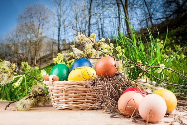 Colorful Easter eggs in a basket — Stock Photo, Image