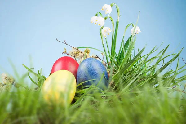 Easter colored eggs in the grass — Stock Photo, Image