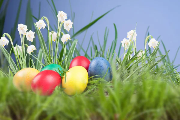 Easter colored eggs in the grass — Stock Photo, Image