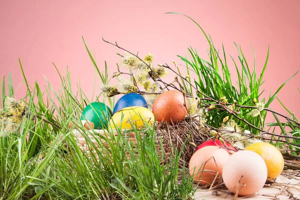 Easter colored eggs in the grass — Stock Photo, Image