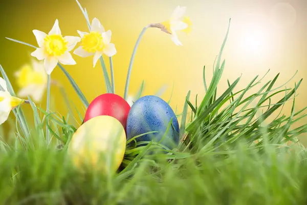 Easter colored eggs in the grass — Stock Photo, Image