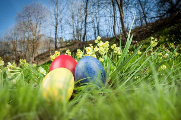 Easter colored eggs in the grass — Stock Photo, Image