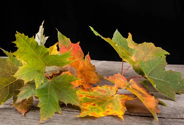 Hojas de otoño sobre fondo de madera — Foto de Stock