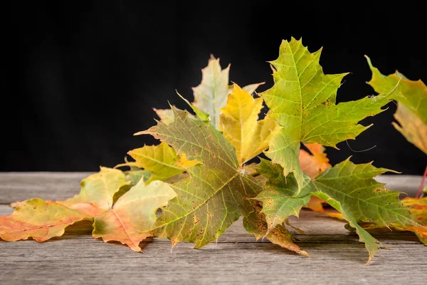 Осіннє листя над дерев'яним тлом — стокове фото