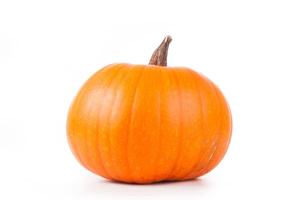 Halloween pumpkin on a white background — Stock Photo, Image