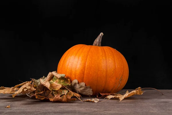 Halloween pompoen op een zwarte achtergrond — Stockfoto