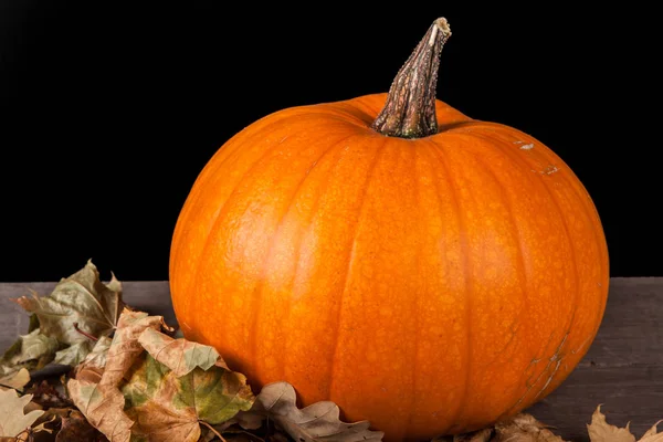 Halloween pumpkin on a black background — Stock Photo, Image