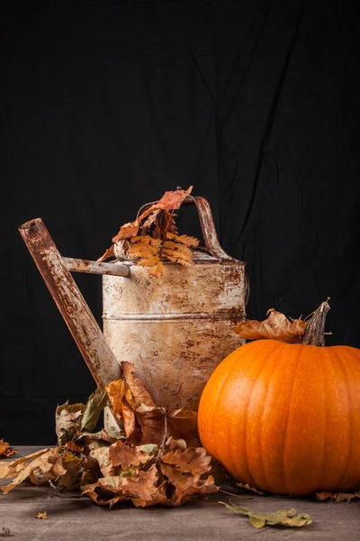 Halloween pompoen op een zwarte achtergrond — Stockfoto