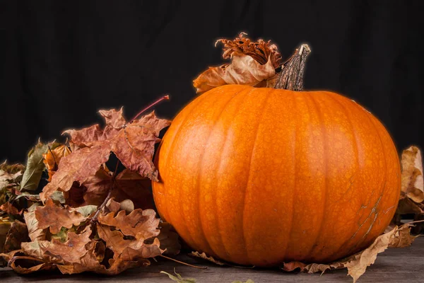 Halloween pompoen op een zwarte achtergrond — Stockfoto