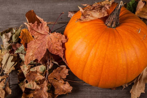 Halloween pompoen op een zwarte achtergrond — Stockfoto