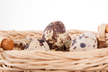 Bıldırcın yumurta bir örgü çanta