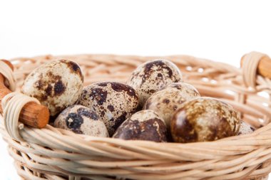 bıldırcın yumurtası bir çanta içinde 